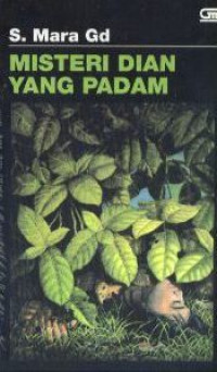 Image of Misteri dian yang padam